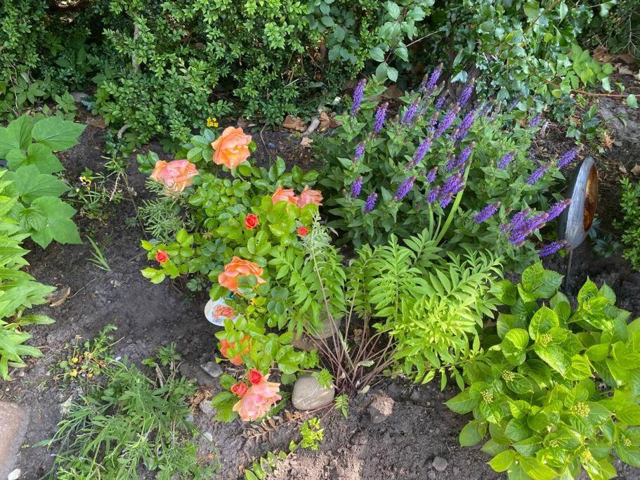 Urlaubsdomizil Norden/Norddeich, Mit Garten Exterior photo